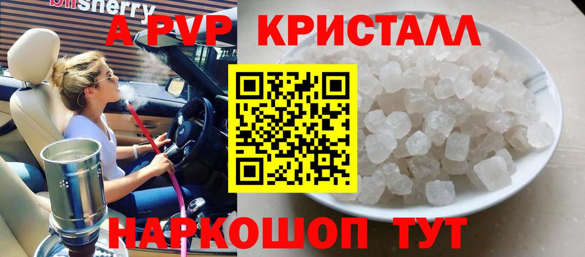 Норильск  A PVP СК КРИС  как найти   Альфа ПВП СК КРИС  Вход с VPN 