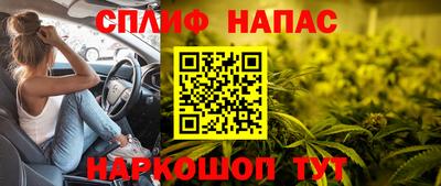 Альфа ПВП Будённовск