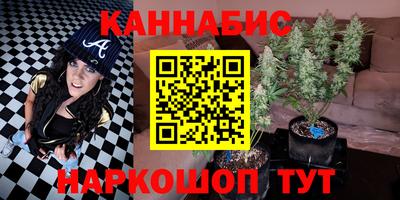 Альфа ПВП Будённовск
