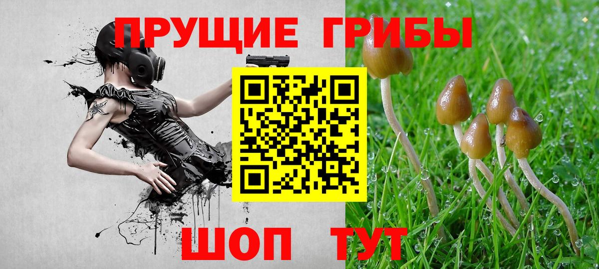 Псилоцибиновые грибы Psilocybe  Вход с VPN  продажа наркотиков  Норильск  Галлюциногенные грибы Magic Shrooms 